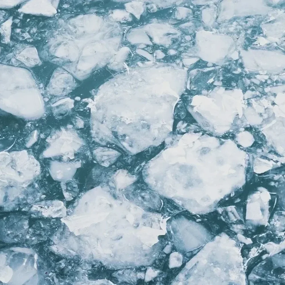 Ice on the surface of the cold plunge at Fox Recovery Studio